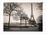 Pathway to Eiffel tower, Paris by Assaf Frank